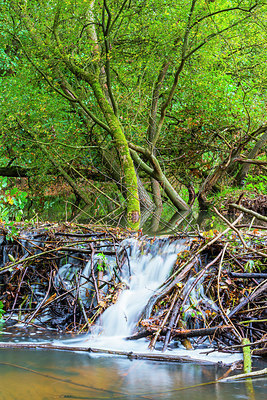 BUITEN BEELD Foto: 410329