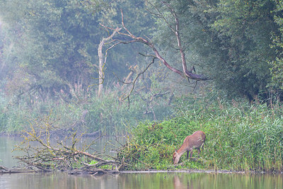 BUITEN BEELD Foto: 410340