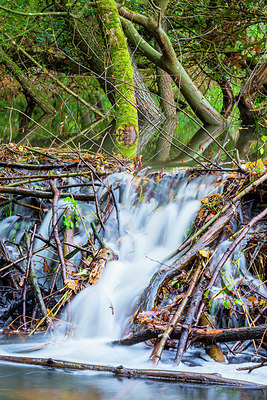 BUITEN BEELD Foto: 410348