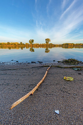 BUITEN BEELD Foto: 410359