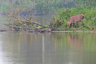 BUITEN BEELD Foto: 410360