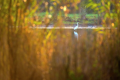 BUITEN BEELD Foto: 410382