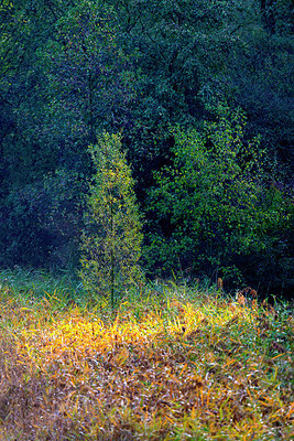 BUITEN BEELD Foto: 410419