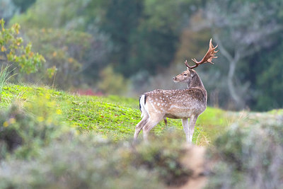 BUITEN BEELD Foto: 410438