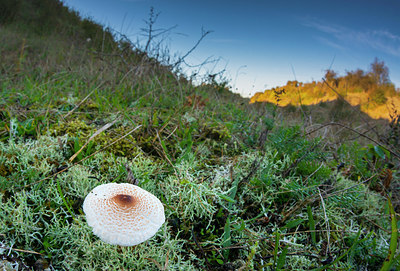 BUITEN BEELD Foto: 410449