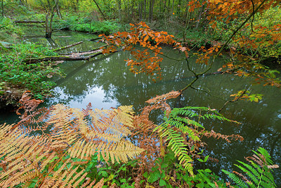 BUITEN BEELD Foto: 410466