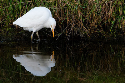 BUITEN BEELD Foto: 410470