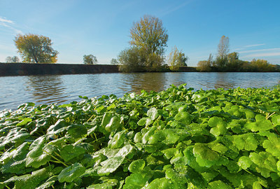 BUITEN BEELD Foto: 410477