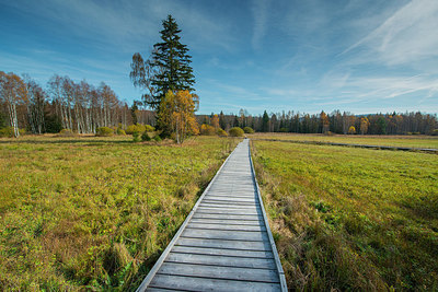 BUITEN BEELD Foto: 410510