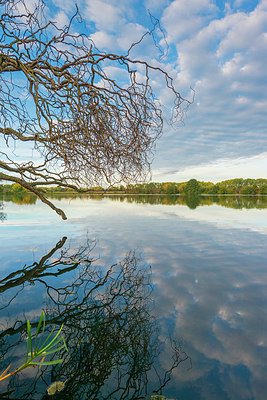 BUITEN BEELD Foto: 410527