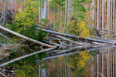 BUITEN BEELD Foto: 410531