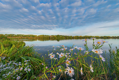 BUITEN BEELD Foto: 410553