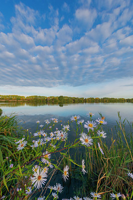 BUITEN BEELD Foto: 410578