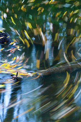 BUITEN BEELD Foto: 410683