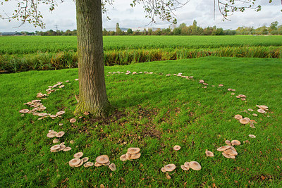 BUITEN BEELD Foto: 410694
