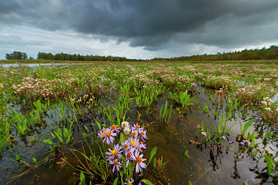 BUITEN BEELD Foto: 410712