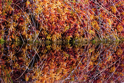 BUITEN BEELD Foto: 410713