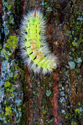 BUITEN BEELD Foto: 410732