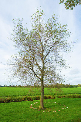 BUITEN BEELD Foto: 410822