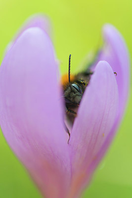 BUITEN BEELD Foto: 411190