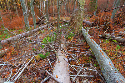 BUITEN BEELD Foto: 411191