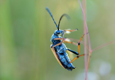 BUITEN BEELD Foto: 411282