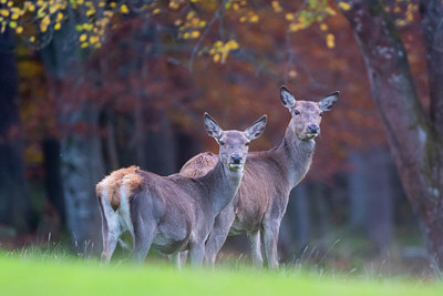 BUITEN BEELD Foto: 411310