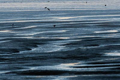 BUITEN BEELD Foto: 411320