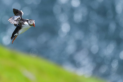 BUITEN BEELD Foto: 411378