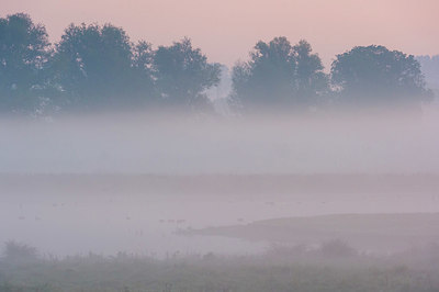 BUITEN BEELD Foto: 411382