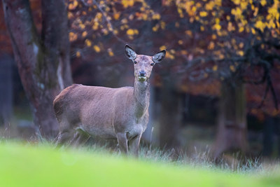 BUITEN BEELD Foto: 411427