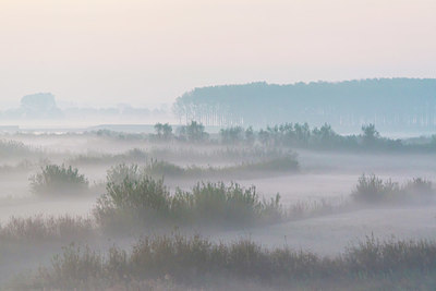 BUITEN BEELD Foto: 411457