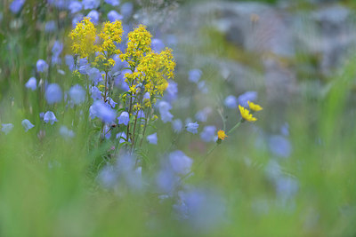 BUITEN BEELD Foto: 411470