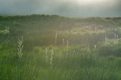 BUITEN BEELD Foto: 411478