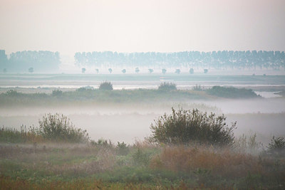 BUITEN BEELD Foto: 411491