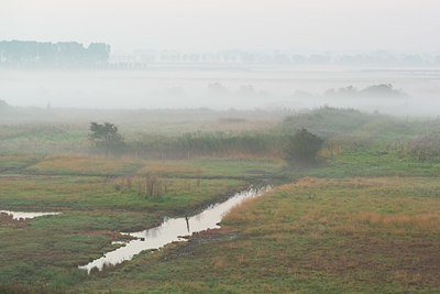 BUITEN BEELD Foto: 411585