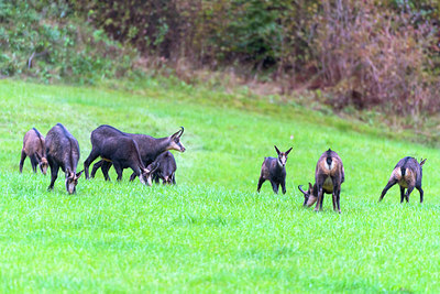 BUITEN BEELD Foto: 411588