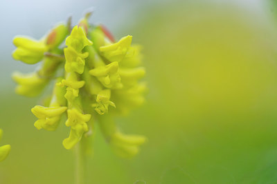 BUITEN BEELD Foto: 411716