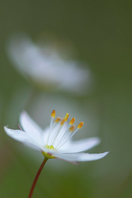 BUITEN BEELD Foto: 411781