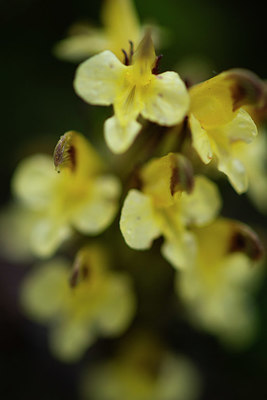 BUITEN BEELD Foto: 411793