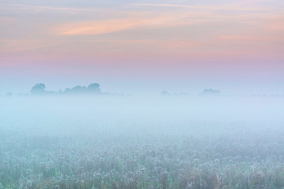 BUITEN BEELD Foto: 411810