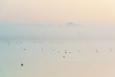 BUITEN BEELD Foto: 411861