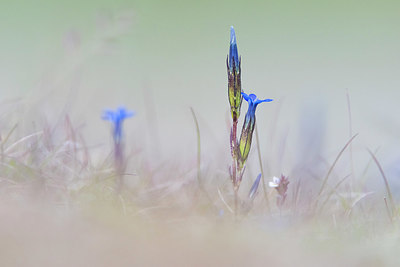 BUITEN BEELD Foto: 411883