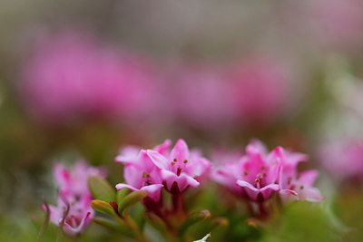 BUITEN BEELD Foto: 411886