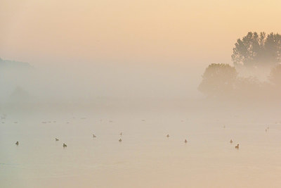 BUITEN BEELD Foto: 411887