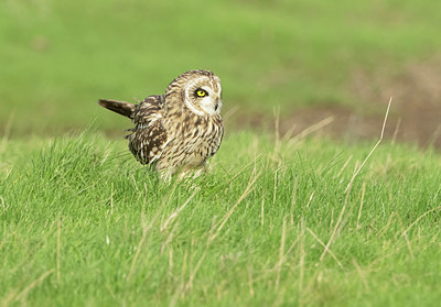 BUITEN BEELD Foto: 412093