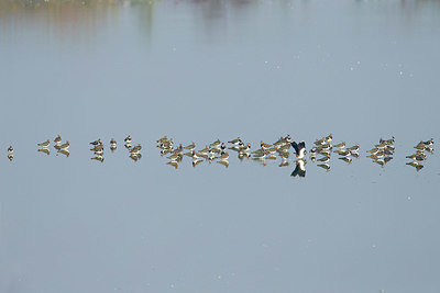 BUITEN BEELD Foto: 412271