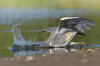 BUITEN BEELD Foto: 412274