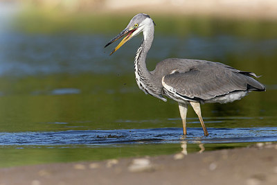 BUITEN BEELD Foto: 412277