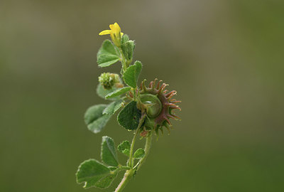 BUITEN BEELD Foto: 412308